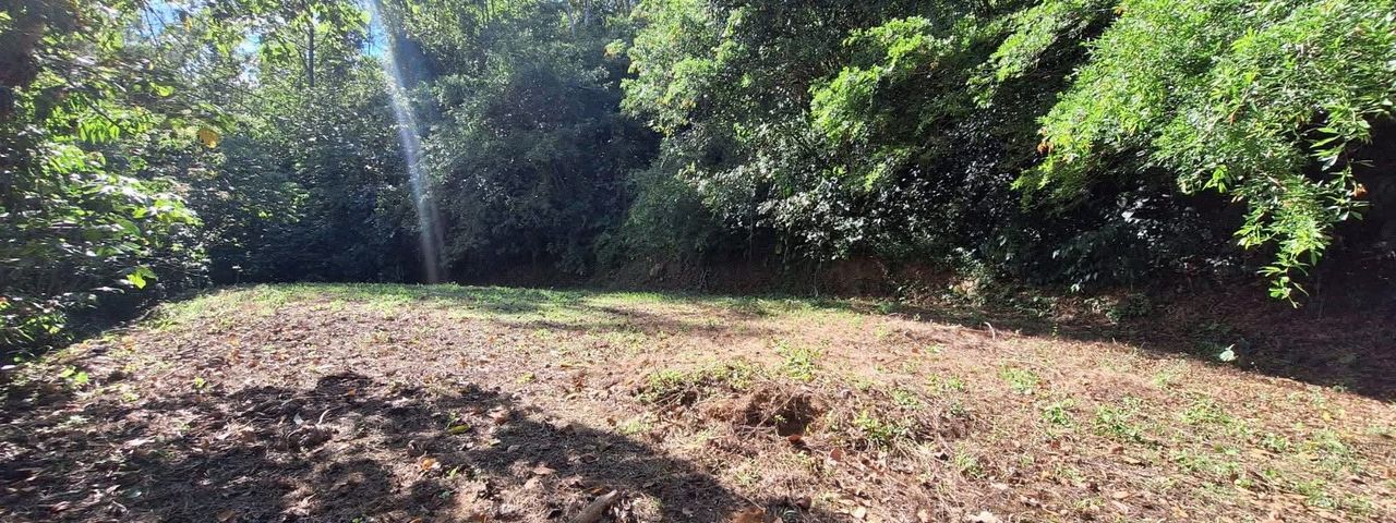Linda propiedad en san Vito de Coto brus — foto 1 de 5