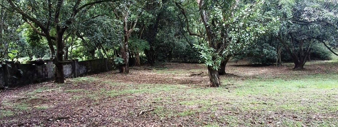 500 m2 Affordable lot in Atenas! — foto 1 de 11
