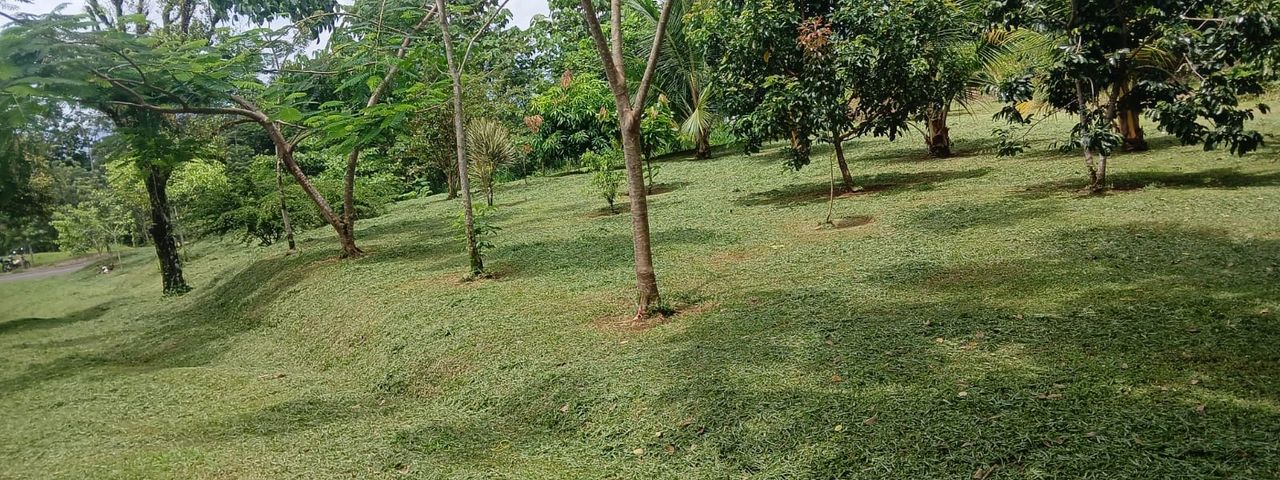 Hermoso y amplio terreno — foto 1 de 5