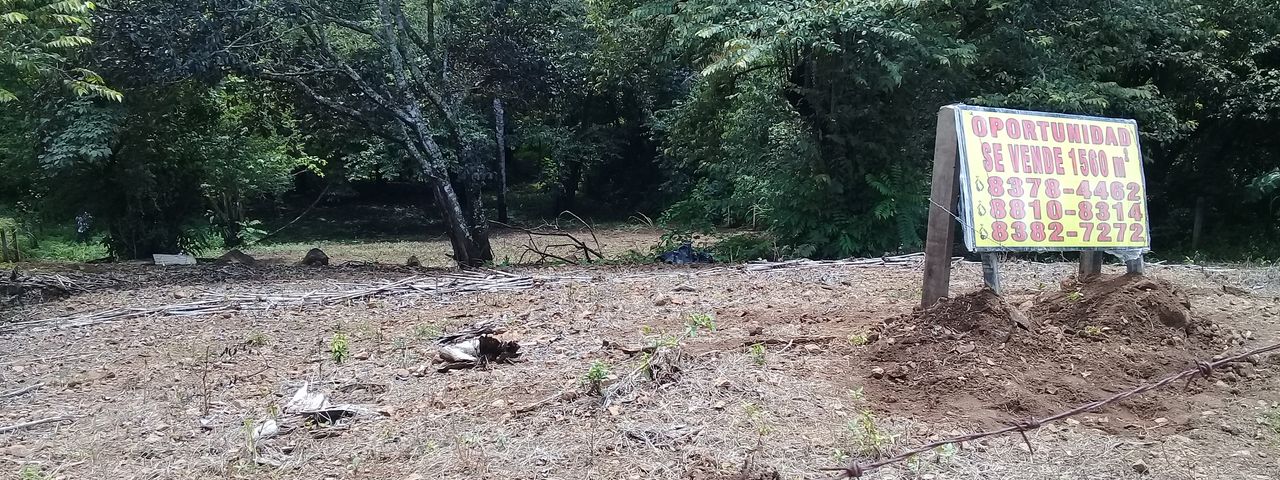 Lote para vivir en paz y entre la naturaleza — photo 1 of 6