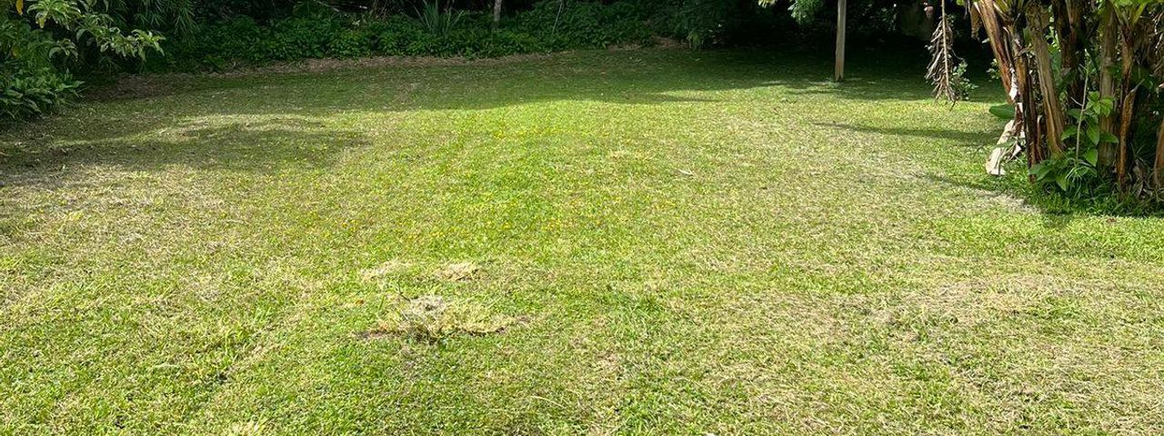 VENTA LOTE EN TIBAS — photo 1 of 6