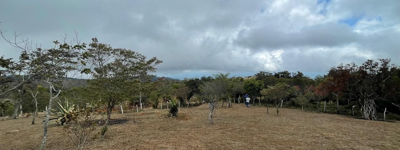 LOTE GRANDE SAN RAMON — photo 1 of 6
