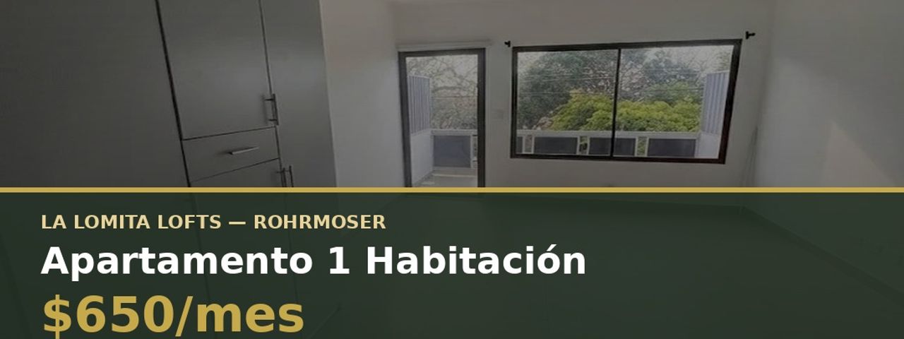 COMODO APARTAMENTO TIPO LOFT EN ROHRMOSER — photo 1 of 13