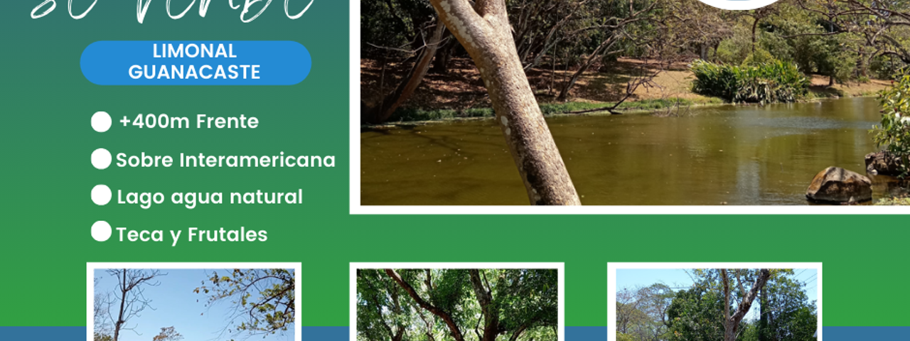 FINCA LAGUITO LIMONAL GUANACASTE — photo 1 of 14
