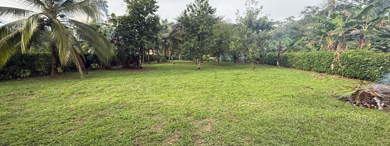 Precioso terreno a 20 metros de la Fortuna — photo 1 of 12