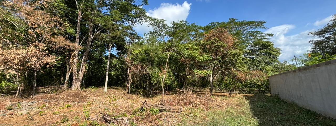 T- Gus Playa Grande — foto 1 de 5