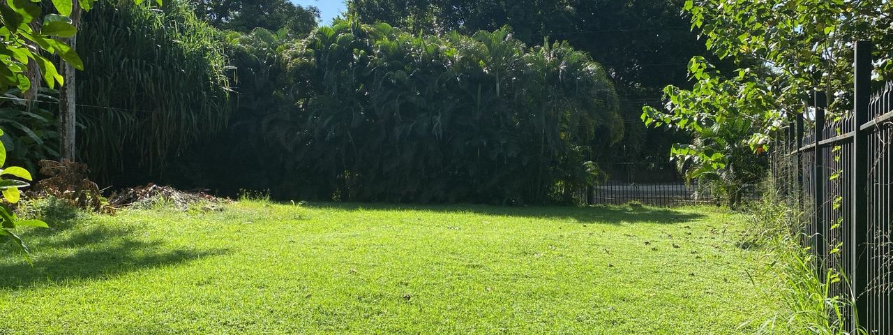 T-Tonio — foto 1 de 5