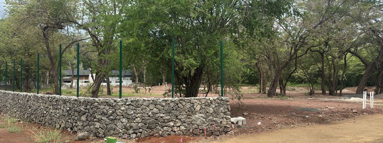 T- Tama centro Ju — foto 1 de 5