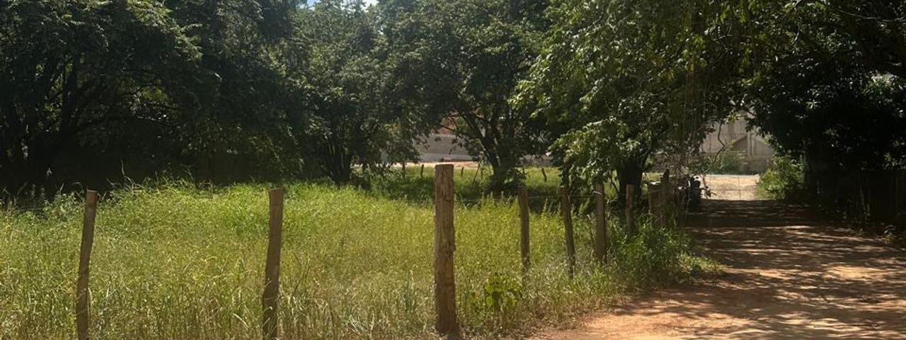 T-Rosa Fe Ju — foto 1 de 5