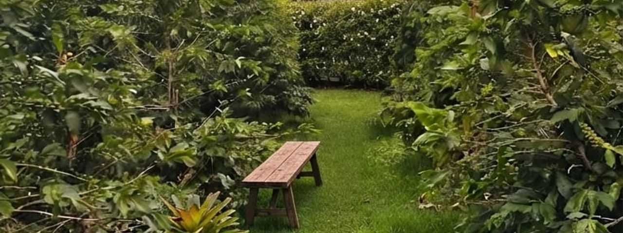 Terreno con Potencial Comercial y Residencial en San Rafael de Heredia — foto 1 de 5