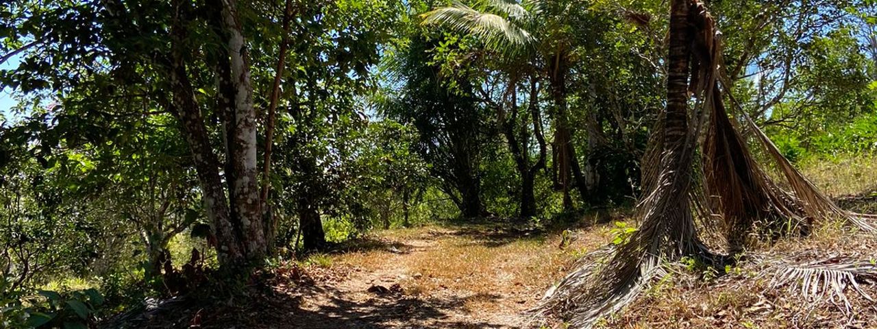 finca — photo 1 of 17