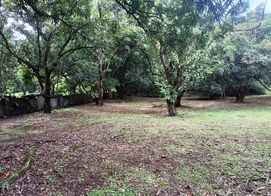 500 m2 Affordable lot in Atenas!, Alajuela Province, Atenas, Costa Rica
