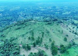Finca Multiuso, Calle San Juan, Alajuela Province, Aguas Zarcas, Costa Rica