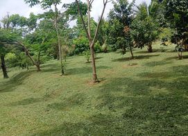 Hermoso y amplio terreno, 9CV7+W3H, Provincia de Alajuela, San Ramón, Costa Rica