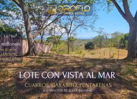 LOTE MIXTO CON VISTAS AL MAR GARABITO, PUNTARENAS #61102eb, Provincia de Puntarenas, Costa Rica