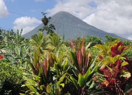 La Mejor Inversión en Costa Rica: Airbnb Business con Arenal Volcano View, Alajuela Province, La Fortuna, Costa Rica