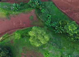 1,500 sqm Mountain View Lot – High Appreciation & Ready to Build, Tarcolitos Properties, Puntarenas Province, Tarcolitos, Costa Rica