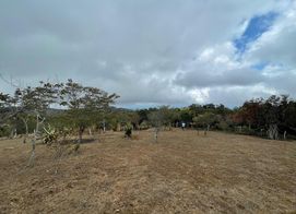 LOTE GRANDE SAN RAMON, Piedades Sur, Alajuela Province, San Ramón, Costa Rica