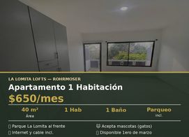COMODO APARTAMENTO TIPO LOFT EN ROHRMOSER, La Lomita Lofts, Calle 110A, San José Province, San José, Favorita Norte, Costa Rica