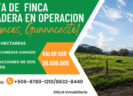 FINCA LECHERA GUAYABO DE BAGACES, Guanacaste Province, Guayabo, Costa Rica