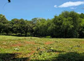 Propiedad Paraíso, 27 de Abril cerca de playas (Puede comprar los m2 que desee), Provincia de Guanacaste, Costa Rica