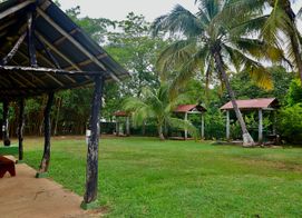 V-Salinitas Camping, 85RG+8FW, Provincia de Guanacaste, Matapalo, Costa Rica