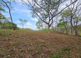 T-Chartrand Be, 7795+64, Provincia de Guanacaste, San Francisco, Costa Rica