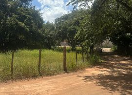 T-Rosa Fe Ju, 86X8+RGC, Provincia de Guanacaste, Huacas, Costa Rica