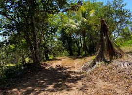finca, Provincia de Guanacaste, Costa Rica