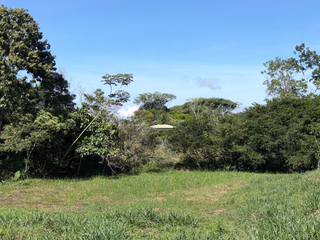 Terreno en San Pedro Pérez Zeledón — photo 2 of 5