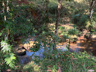 Terreno en San Pedro Pérez Zeledón — photo 4 of 5