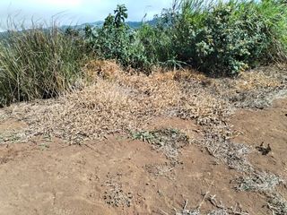 Lote en Piedades Norte — foto 3 de 5