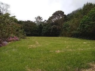 Lote 1381 m2 Bajos del Toro Sarchi — foto 3 de 5