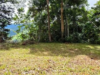 Beautiful lot for sale in Barucito between Escaleras and San Salvador Pérez Zeledón.! — foto 3 de 5