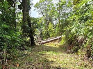 Beautiful lot for sale in Barucito between Escaleras and San Salvador Pérez Zeledón.! — foto 4 de 5