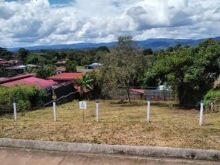 Lindo lote en venta en San Isidro de el General — photo 4 of 5