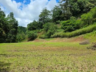 Nice land in providencia de Páramo, Pérez Zeledón — photo 2 of 5