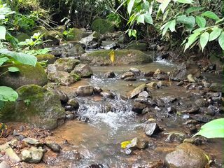Nice land in providencia de Páramo, Pérez Zeledón — photo 5 of 5