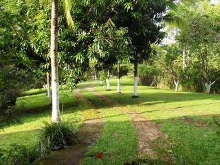 Live the Costa Rica Dream...Nature, Privacy and Pacific Beaches! — foto 4 de 20