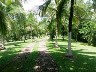 Live the Costa Rica Dream...Nature, Privacy and Pacific Beaches! — foto 5 de 20
