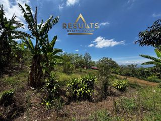 7,661 m2 Finca con vistas! 5004-2344 — foto 3 de 12