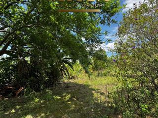 7,661 m2 Finca con vistas! 5004-2344 — foto 5 de 12