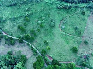 Finca Multiuso — foto 2 de 5