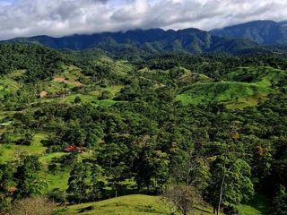 Finca Multiuso — foto 5 de 5