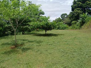 Hermoso y amplio terreno — foto 3 de 5
