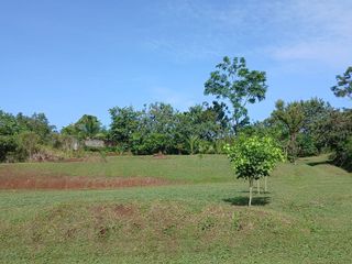Hermoso y amplio terreno — foto 2 de 5