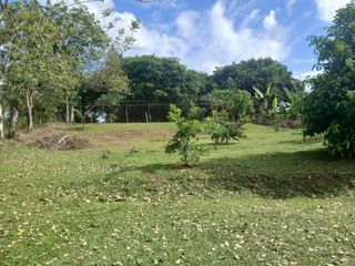 Hermoso y amplio terreno — foto 5 de 5
