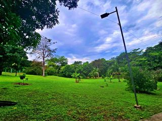 COMMERCIAL POTENTIAL ESTATE OROTINA, ALAJUELA #20901cgsa — photo 5 of 5