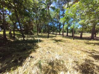 VENTA DE TERRENO EN LA GARITA, ALAJUELA — photo 4 of 5