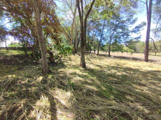 VENTA DE TERRENO EN LA GARITA, ALAJUELA — photo 5 of 5